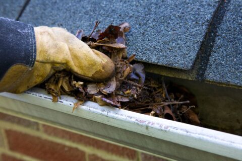 Image of brown glove cleaning leaves out of home gutter
