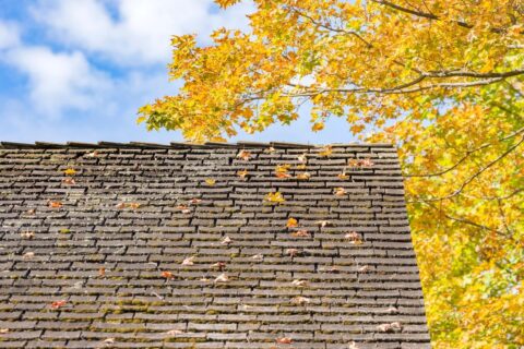 Image of Autumn leaves falling on rooftop